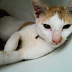 Chiro