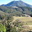 Meadow and Gunung Mutis