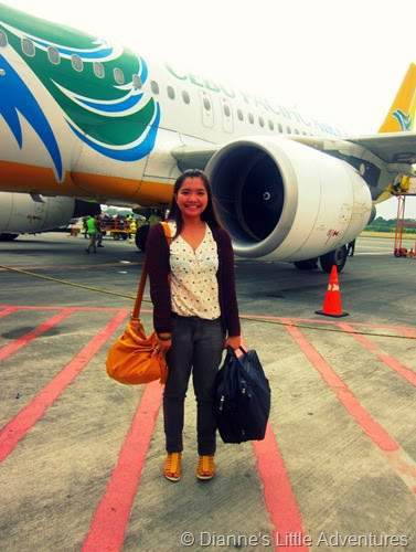 davao, travel, friends, airplane, zipline, zip city, cebu pacific