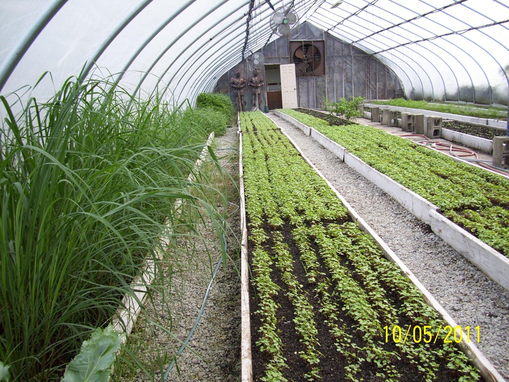 [Franklin%252010-2011%255B4%255D.jpg]