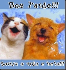 BOA TARDE SORRIA1