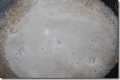 IMG_3441 IMG_3441