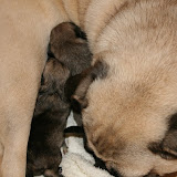 Anna links 236g, 9:45 & Axel 270g, 6:05.