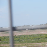 P3150405.JPG