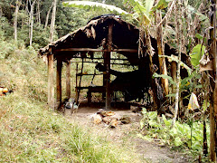 DigiCam Fotos do evento Ecoturismo. Foto numero 3798056193. Fotografia da Pousada Pe na Areia, que fica em Boicucanga, próximo a Maresias, Litoral Norte de Sao Paulo (SP).