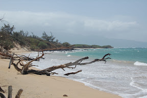 DSC_0869.JPG