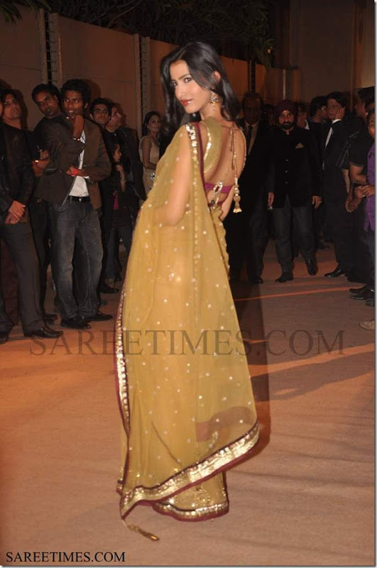 Backless_Saree