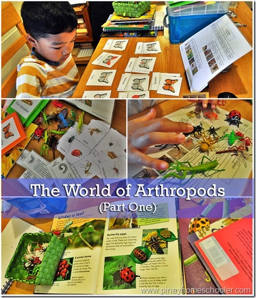 The World of Arthropods (Part One)