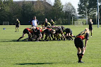RCDwingeloo/De Wrotters - Alkmaar (29-0) 2011-10-23