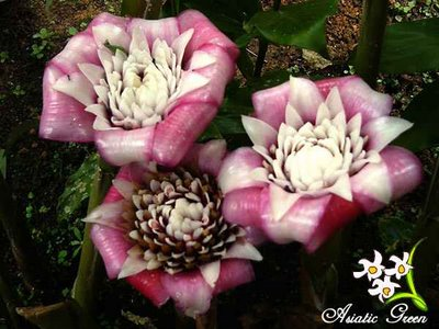 [image%255B14%255D.png]