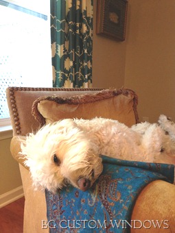 [IMG_0055%255B1%255D%255B20%255D.jpg]