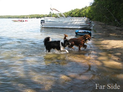 Chance and Riley at Cass Lake sept 11