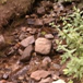 View album