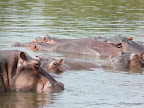 Baringosee