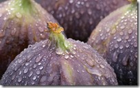 Fresh figs with drops of water, close-up