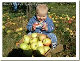 Goofy at Apple Orchard, 17 months old