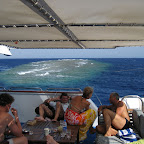 At Elphinstone reef
