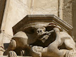 Canine dentist on the south door