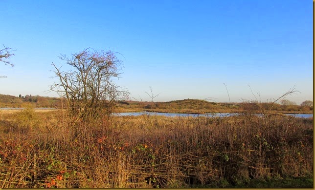 IMG_2700 IMG_2700