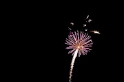 IMG_0835.JPG