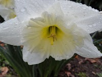DSC03052.JPG