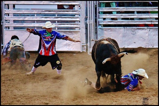 PBR 239 PBR 239