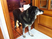 IMG_0506 IMG_0506