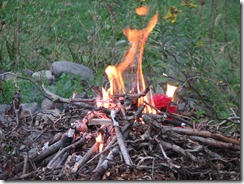 IMG_7609 IMG_7609