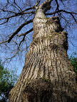 P1000048.JPG