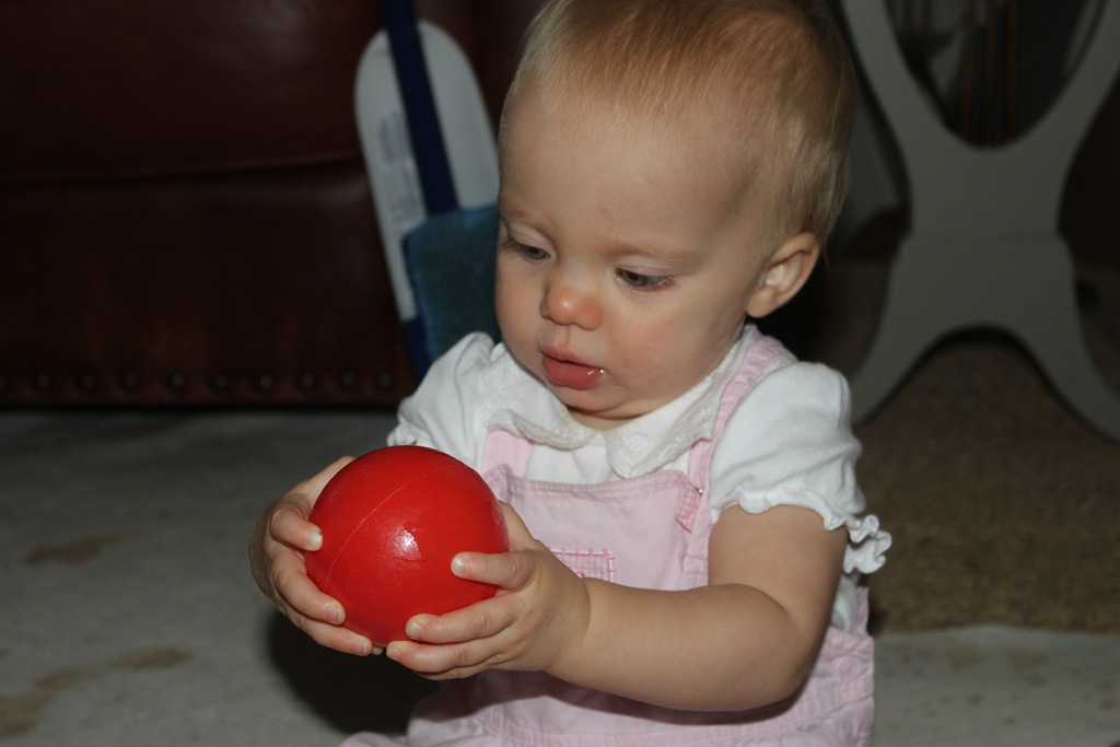 [IMG_56287.jpg]