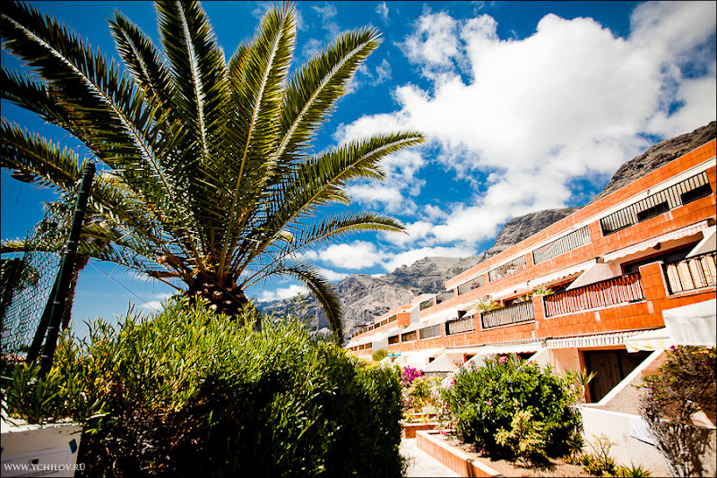 032 www.ychilov.ru foto tenerife.jpg