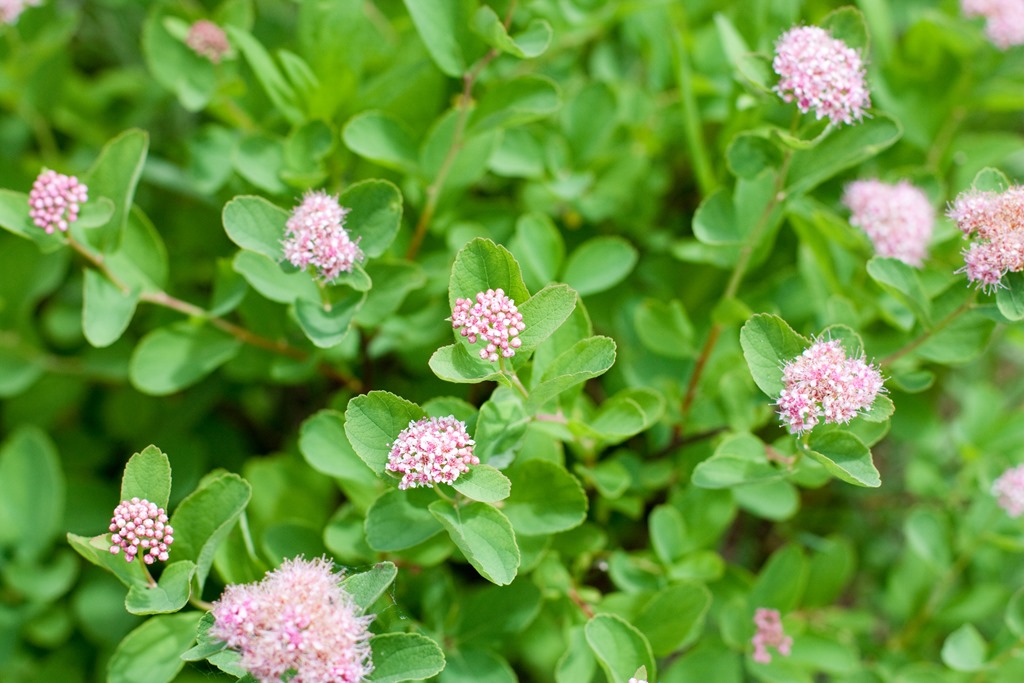 [20130720-IMG_41344.jpg]