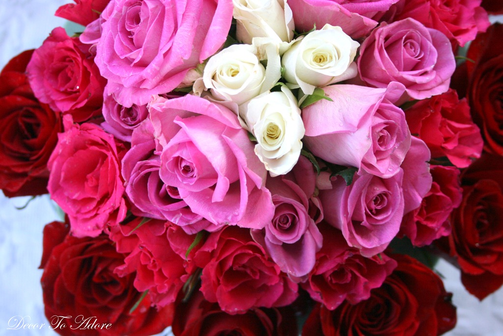 [flowers%2520022%255B3%255D.jpg]