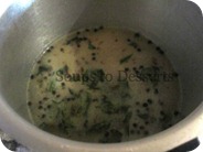 IMG_6669 IMG_6669