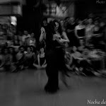 PFOR_1227_0511_0310.jpg