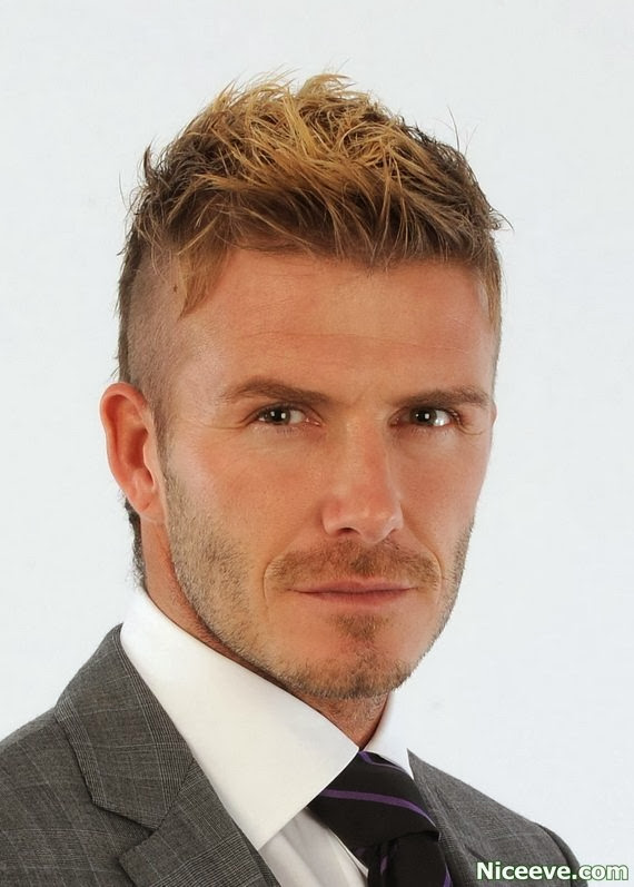 Hair styles 2014 Feathered Hairstyles img46b1c8c5785b0e598b0477e6567a119a.jpg