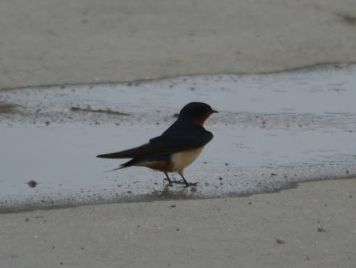 P1070721