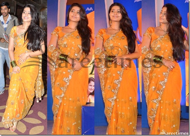 Sneha_Embroidery_Shimmer_Saree