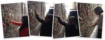 View gum wall2