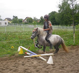 Obstacles sans selle g4 044.JPG