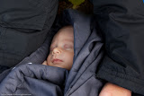 Daan, Augustus 2009