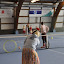 KinderFASCHING 2012 - 32.JPG