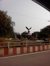 Statue of Eagle 