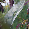 IMG_8096-1_edited-1.jpg