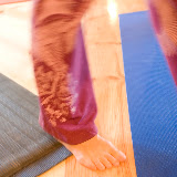 Workshops/Immersion Retreats