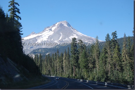 DSC_0971 DSC_0971
