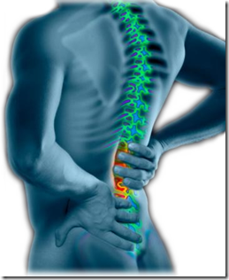 vegetarian : prevent back pain