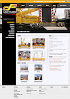 Darcy Pacheco site