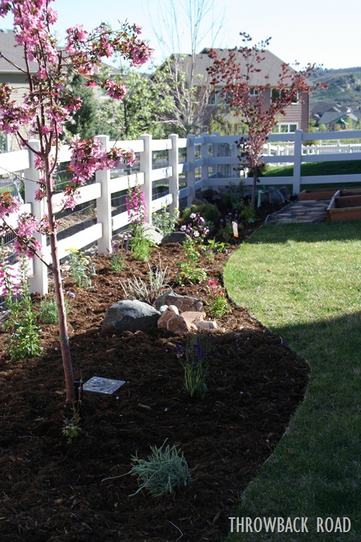 [Raised%2520Garden%2520Spring%25202012%2520004%255B5%255D.jpg]