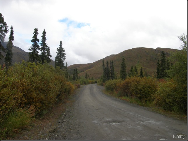 Road in Campground